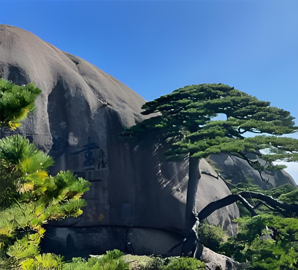 風景照片